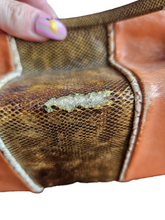 Load image into Gallery viewer, 1940s/1950s Orange, Cream, Tan and Green Snakeskin Box Bag
