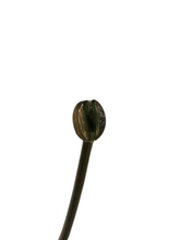 Load image into Gallery viewer, Late 1940s Teal Blue Clear Sunglasses
