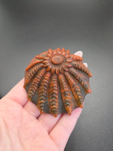 Load image into Gallery viewer, 1940s Brown Marbled Bakelite? Starfish Dress Clip
