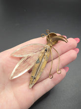 Load image into Gallery viewer, 1940s American Carved Lucite and Metal Bug Brooch
