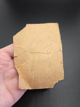 Load image into Gallery viewer, 1940s Deadstock Carded Taupe Brown Buttons
