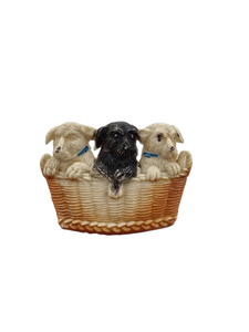 1940s Dogs in a Basket Celluloid Brooch