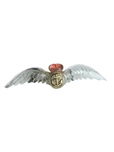 Load image into Gallery viewer, 1940s World War Two RARE Fleet Air Arm Lucite Sweetheart Brooch
