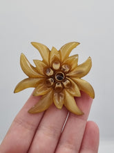 Load image into Gallery viewer, 1940s Carved Horn Edelweiss Brooch
