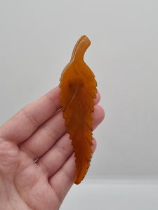 1930s HUGE Butterscotch Carved Bakelite Curved Leaf Dress Clip
