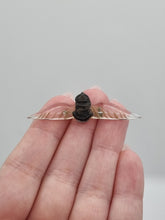 Load image into Gallery viewer, 1940s World War Two RARE Fleet Air Arm Lucite Sweetheart Brooch
